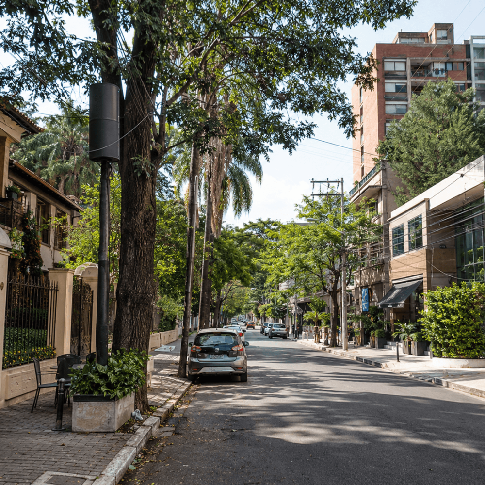 Rue arborée du quartier de Carmelitas à Asunción avec des résidences et des immeubles modernes