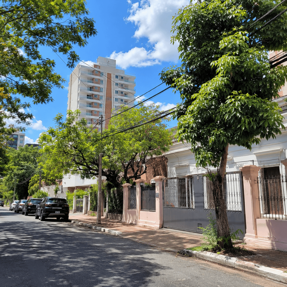 Rue arborée du quartier de Las Mercedes à Asunción avec des maisons et des immeubles résidentiels